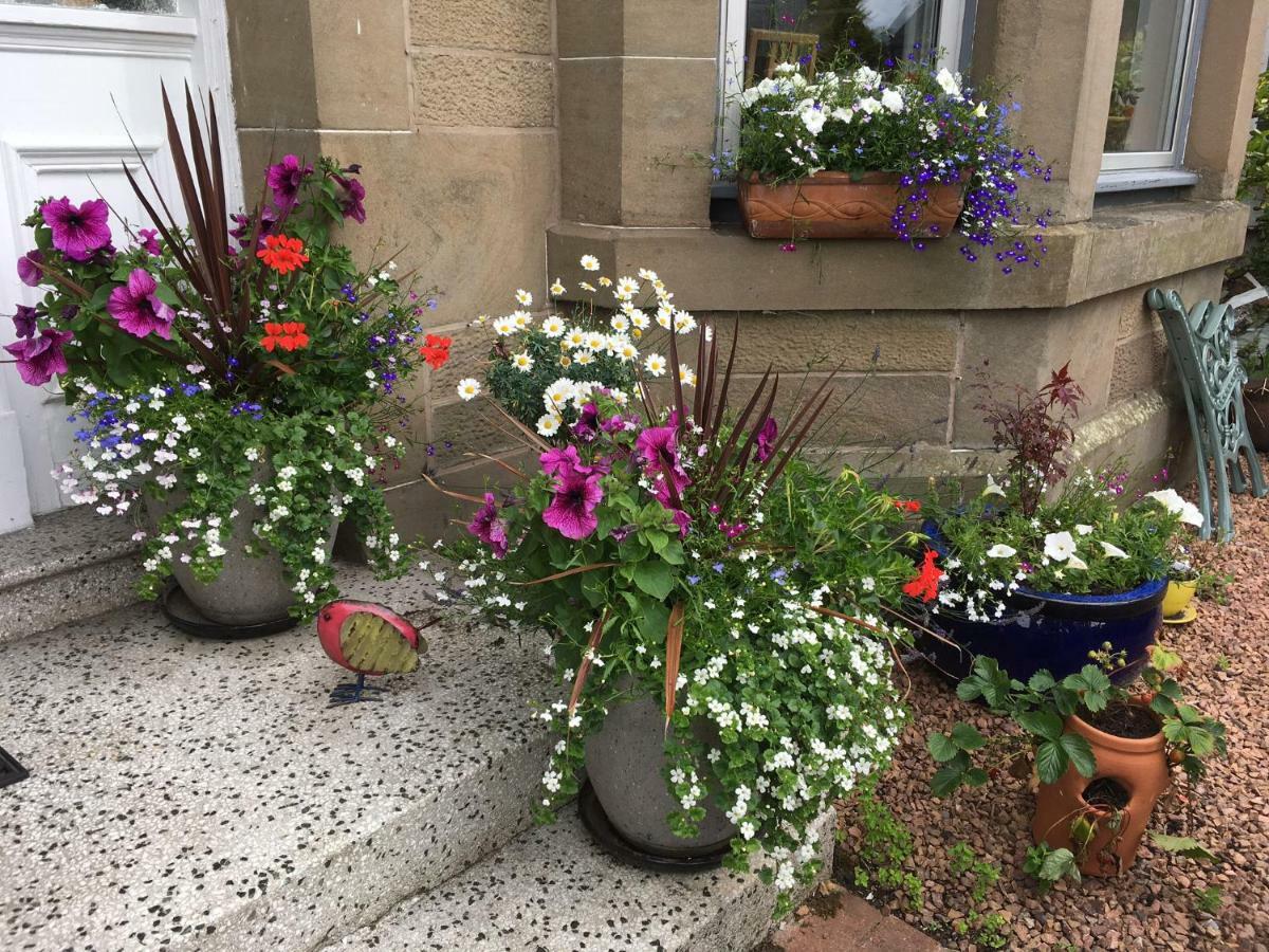 Alberta Guest House Dundee Esterno foto
